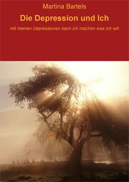 Martina Bartels Die Depression und Ich обложка книги