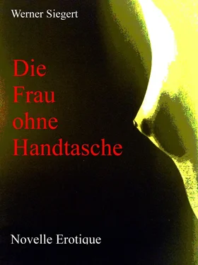 Werner Siegert Die Frau ohne Handtasche обложка книги