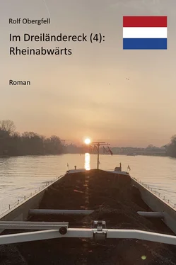 Rolf Obergfell Rheinabwärts обложка книги