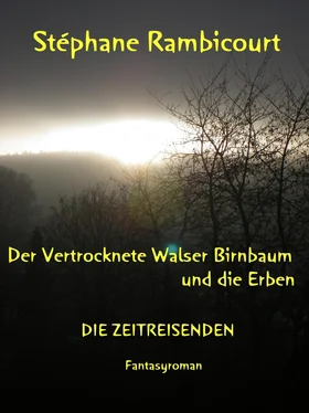Stephane Rambicourt Der vertrocknete Walser Birnbaum und die Erben обложка книги