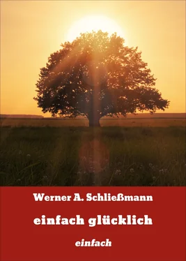 Werner A. Schließmann einfach glücklich обложка книги