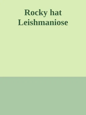 Holger Renn Rocky hat Leishmaniose обложка книги