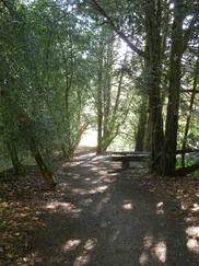 null Orkania - Der ungewöhnliche Blindenhund