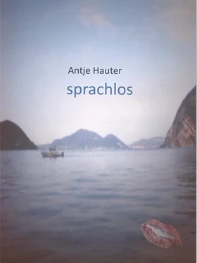 Antje Hauter sprachlos обложка книги