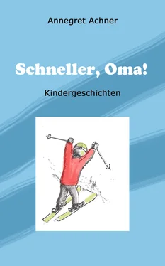 Annegret Achner Schneller, Oma! обложка книги