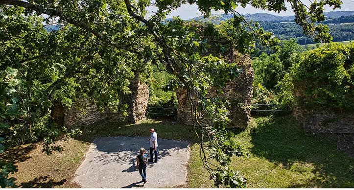 Letztlich ein Opfer der Dachsteuer 45 Burgruine Neuhaus - фото 223