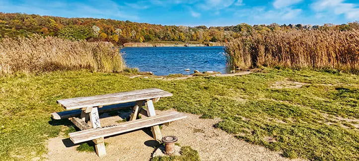 Weit mehr als nur Urban Swimming 21 Wienerberg Teich Sc - фото 107