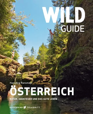 Hansjörg Ransmayr Wild Guide Österreich обложка книги