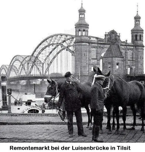 Und dazu kam noch die Memel dieses Prunkstück Tilsits und aller Tilsiter und - фото 7