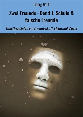 Georg Wolf Zwei Freunde - Band 1: Schule & falsche Freunde обложка книги