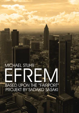 Michael Stuhr EFREM обложка книги