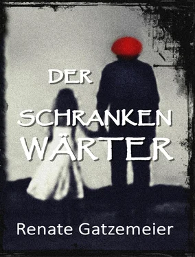 Renate Gatzemeier Der Schrankenwärter обложка книги