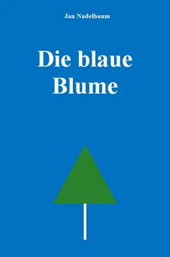 Jan Nadelbaum Die blaue Blume обложка книги