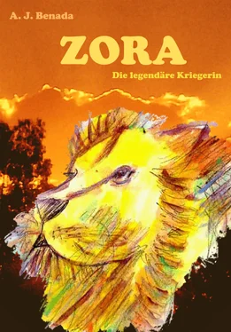 A. J. Benada ZORA обложка книги