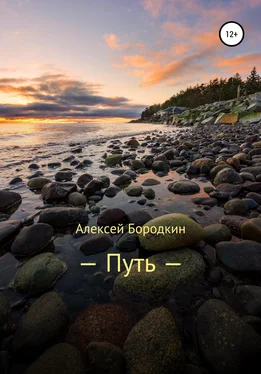 Алексей Бородкин Путь обложка книги