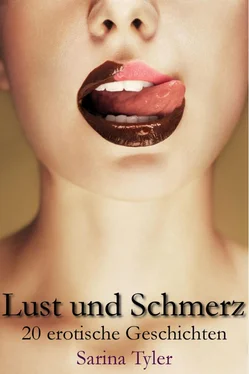 Sarina Tyler Lust und Schmerz - 20 erotische Geschichten обложка книги