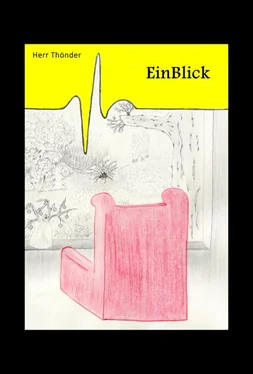 Herr Thönder EinBlick обложка книги