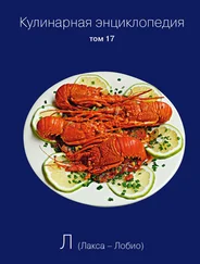 Наталья Шинкарёва - Кулинарная энциклопедия. Том 17. Л (Лакса – Лобио)