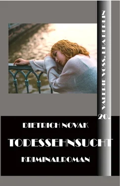 Dietrich Novak Todessehnsucht обложка книги