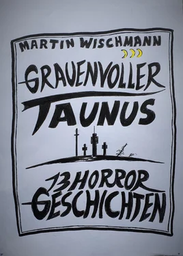 Martin Wischmann GRAUENVOLLER TAUNUS - 13 HORROR GESCHICHTEN обложка книги
