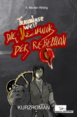 K. Morten Widrig Traumlose Welt: Die Mechanik der Rebellion обложка книги
