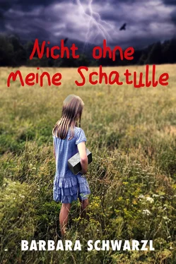 Barbara Schwarzl Nicht ohne meine Schatulle обложка книги