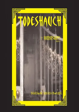 Sieglinde Breitschwerdt Todeshauch обложка книги