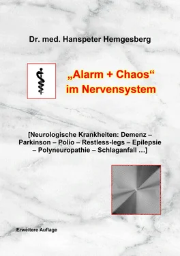 Hanspeter Hemgesberg Neurologische Krankheiten обложка книги