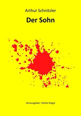 Arthur Schnitzler Der Sohn обложка книги