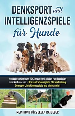 Mein Hund fürs Leben Ratgeber Denksport und Intelligenzspiele für Hunde обложка книги