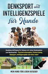 Mein Hund fürs Leben Ratgeber - Denksport und Intelligenzspiele für Hunde