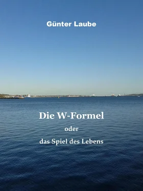 Günter Laube Die W-Formel oder das Spiel des Lebens обложка книги