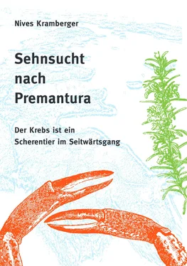 Nives Kramberger Sehnsucht nach Premantura обложка книги