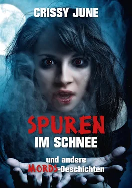 Crissy June Spuren im Schnee обложка книги