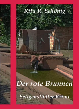 Rita Renate Schönig Der rote Brunnen обложка книги