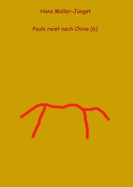 HaMuJu Paulo reist nach China (6) обложка книги