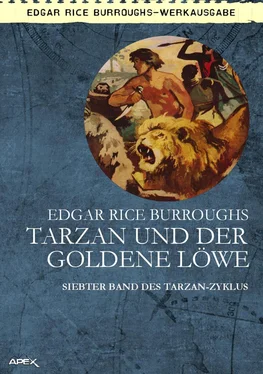 Edgar Burroughs TARZAN UND DER GOLDENE LÖWE обложка книги