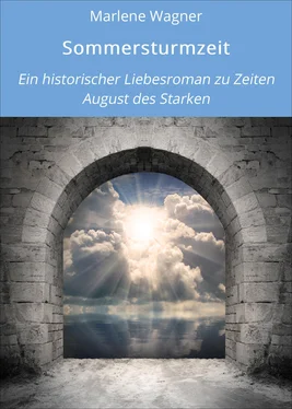 Marlene Wagner Sommersturmzeit обложка книги