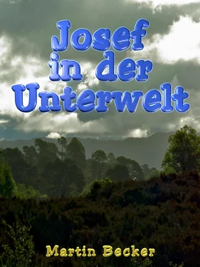 Martin Becker Josef in der Unterwelt обложка книги