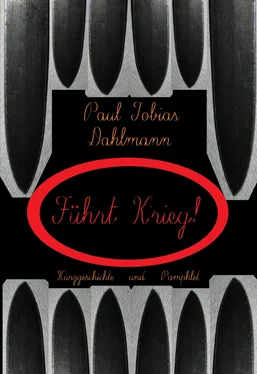 Paul Tobias Dahlmann Führt Krieg! обложка книги