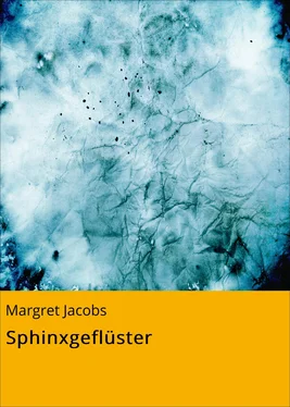 Margret Jacobs Sphinxgeflüster обложка книги