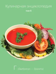 Надежда Бондаренко - Кулинарная энциклопедия. Том 6. Г (Гамбринус – Гранита)