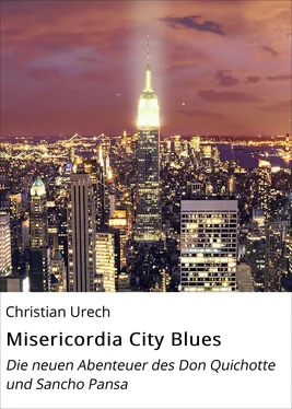 Christian Urech Misericordia City Blues обложка книги