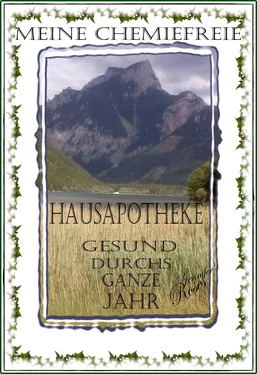 Jennifer Roses MEINE CHEMIEFREIE HAUSAPOTHEKE обложка книги