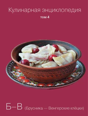 Наталья Шинкарёва Кулинарная энциклопедия. Том 4. Б-В (Брусника – Венгерские клёцки) обложка книги