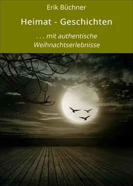 Erik Büchner Heimat - Geschichten обложка книги