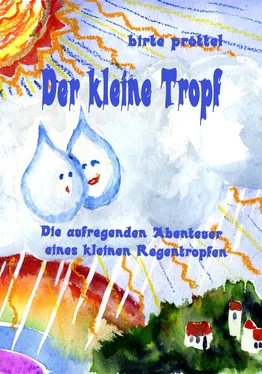 Birte Pröttel Der kleine Tropf обложка книги