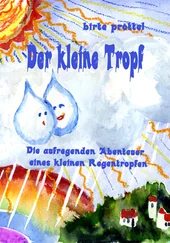 Birte Pröttel - Der kleine Tropf