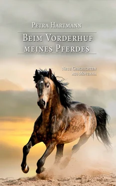 Petra Hartmann Beim Vorderhuf meines Pferdes обложка книги