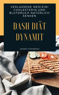 André Sternberg DASH Diät Dynamit обложка книги